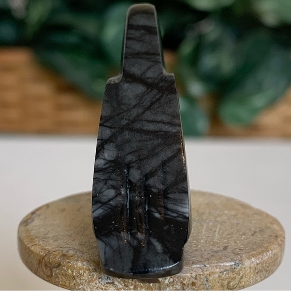 Zuni Crow Raven Fetish Clayton Panteah & Abby Quam Jasper Turquoise Heart Line - Picture 9 of 16